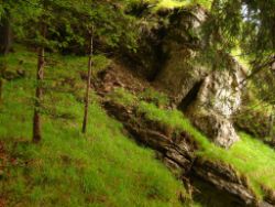 1913-07-05_Regina-F-Rau_Sonnenspitz_Kotalm-Jachenau (328).JPG